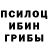 Галлюциногенные грибы Magic Shrooms Zhenya_ Toy
