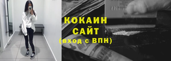 ГАЛЛЮЦИНОГЕННЫЕ ГРИБЫ Ельня