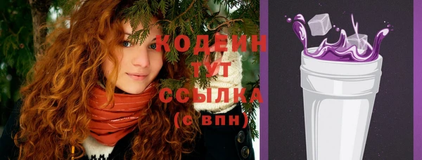 ГАЛЛЮЦИНОГЕННЫЕ ГРИБЫ Ельня