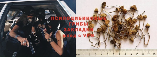 a pvp Дмитриев