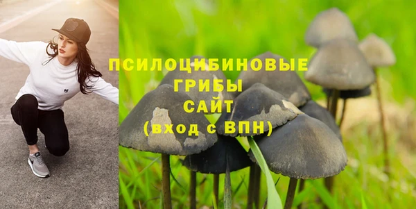 a pvp Дмитриев
